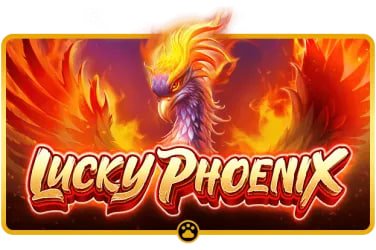 rolex casino Live Casino